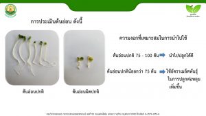 สไลด์7