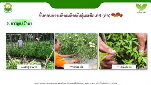 สไลด์9