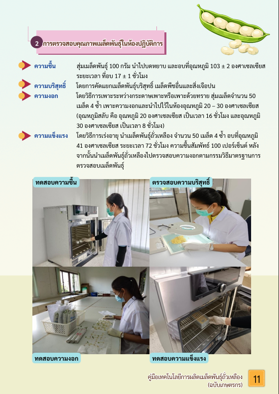 หน้าที่ 10