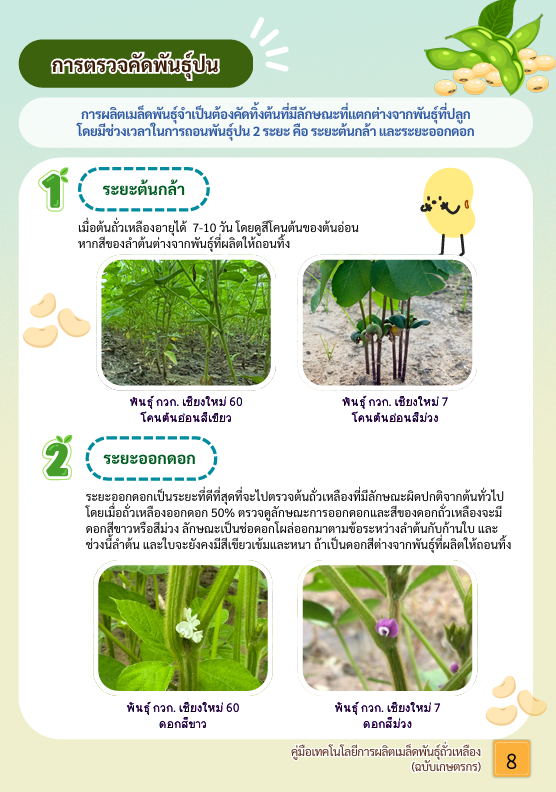หน้าที่ 7