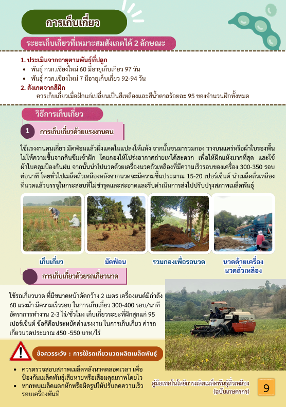 หน้าที่ 8
