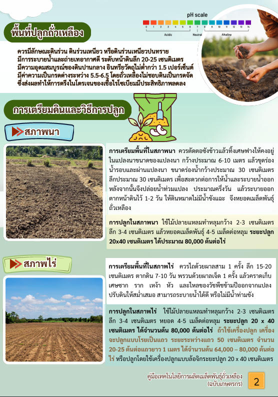 หน้าที่2