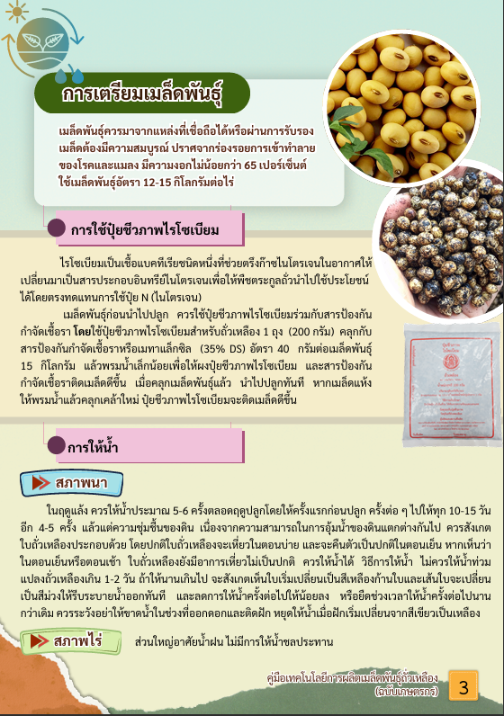 หน้าที่3