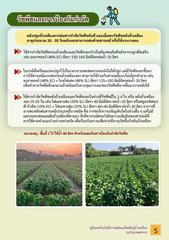 หน้าที่4