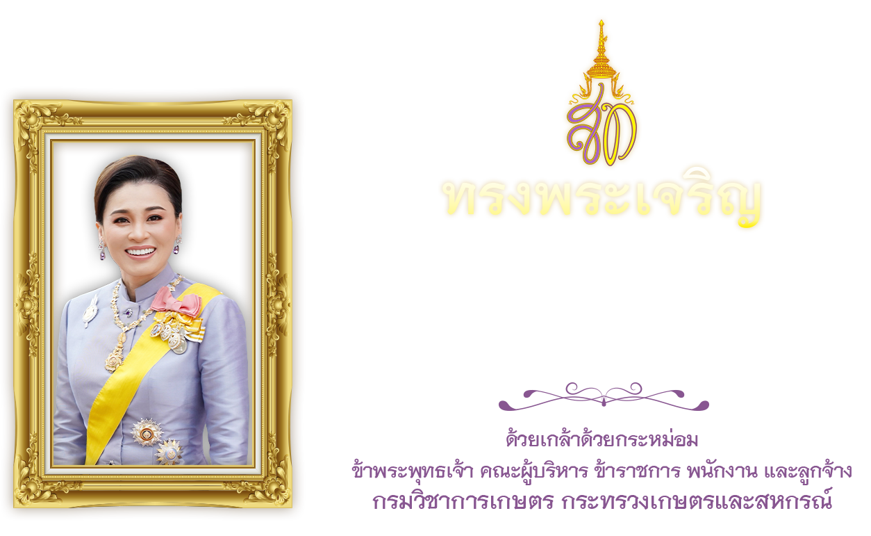 วันเฉลิมพระชนมพรรษา สมเด็จพระนางเจ้าสุทิดา พัชรสุธาพิมลลักษณ พระบรมราชินี