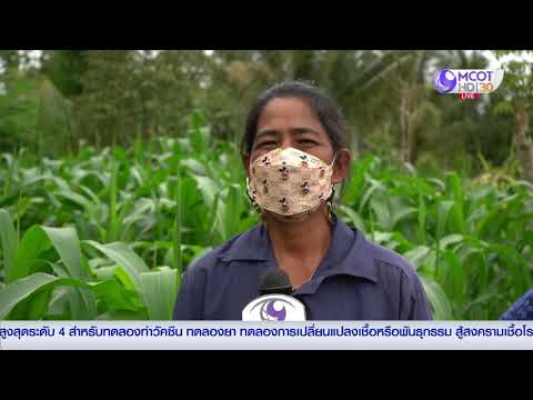 ตอนที่ 4 ออกอากาศ วันที่ 13 กรกฎาคม 2564  กวก.ยะลา ขับเคลื่อนโครงการฟาร์มธารโตอันเนื่องมาจากพระราชดำริ จังหวัดยะลา