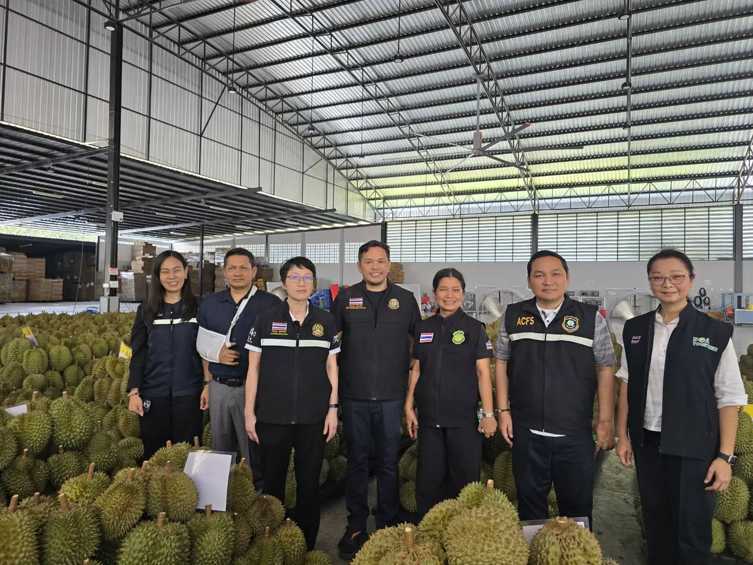 กรมวิชาการเกษตรคุมเข้มคุณภาพทุเรียนไทยโค้งสุดท้ายก่อนเริ่มวันเก็บเกี่ยวอย่างเป็นทางการ