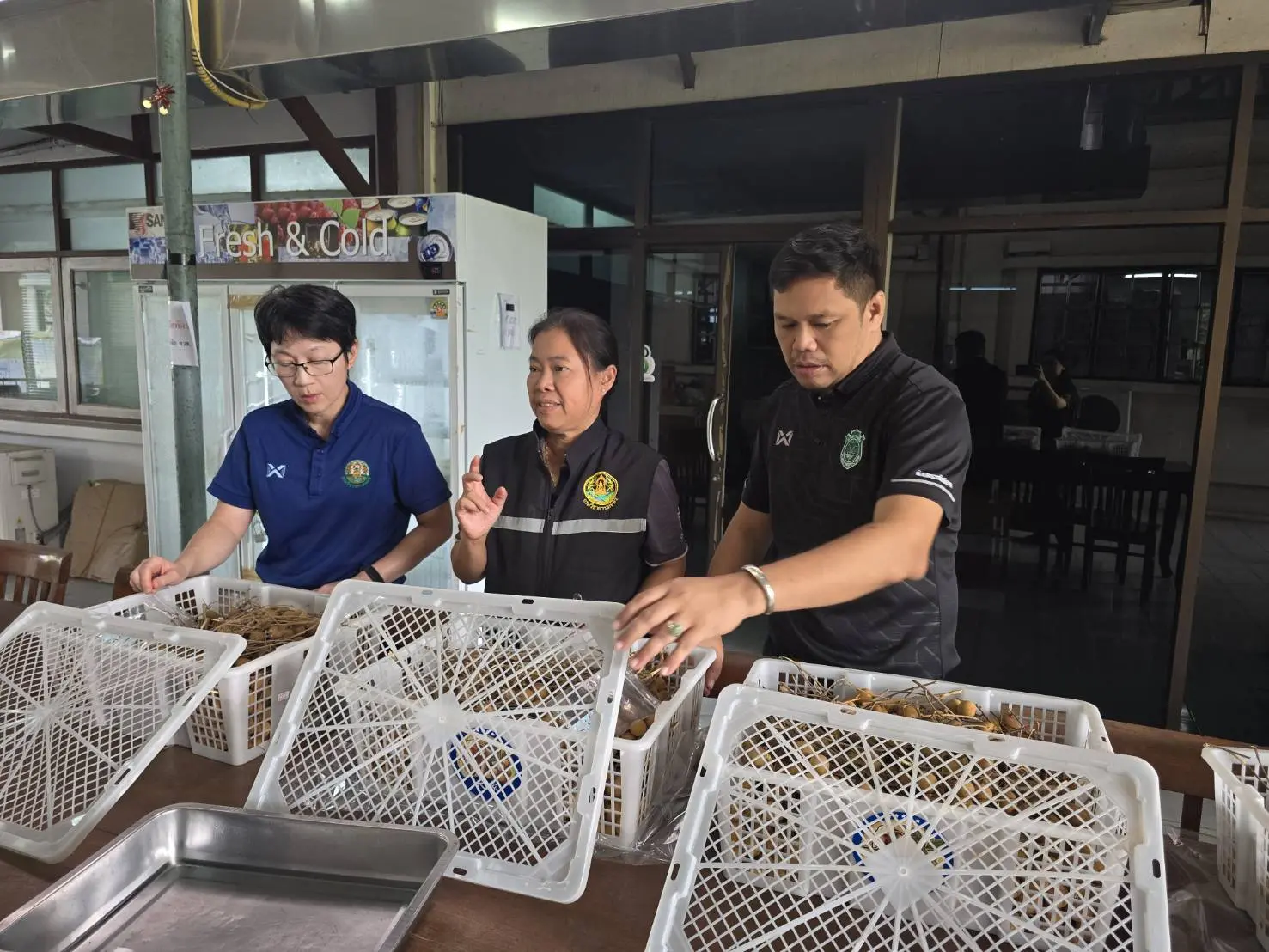 รองอธิบดีกรมวิชาการเกษตร ลงพื้นที่ติดตามผลการดำเนินงานวิจัยการเก็บรักษาลำไยสด เพื่อวิเคราะห์สารซัลเฟอร์ไดออกไซด์