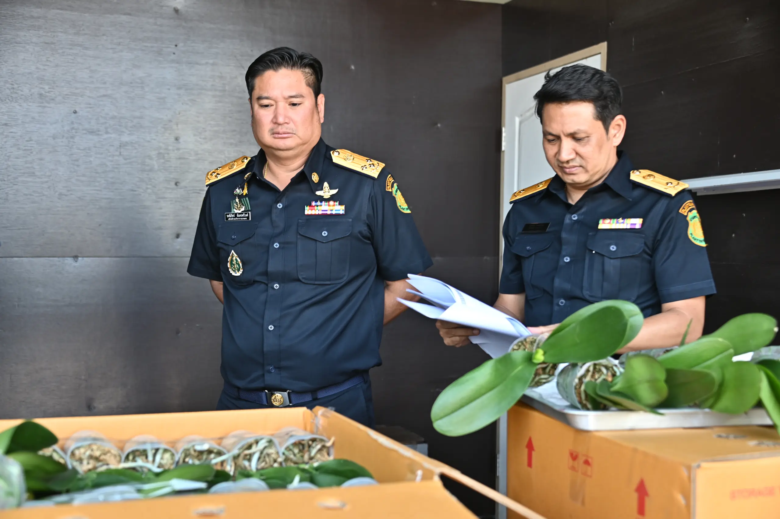 กรมวิชาการเกษตร ผนึกกำลังตำรวจสอบสวนกลาง (CIB) บุกทลายโกดังปุ๋ยและวัตถุอันตรายผิดกฎหมาย มูลค่ากว่า 2.5 ล้านบาท